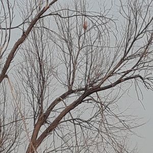 Meet your Posher, Trista